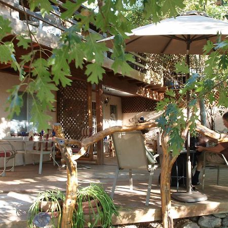 Wikiup Hummingbird Hotel Джулиан Экстерьер фото